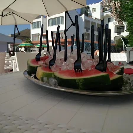International Hotel 3*